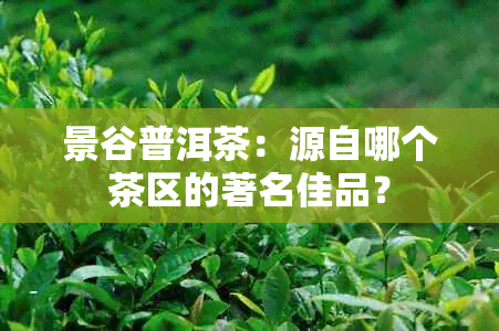 景谷普洱茶：源自哪个茶区的著名佳品？