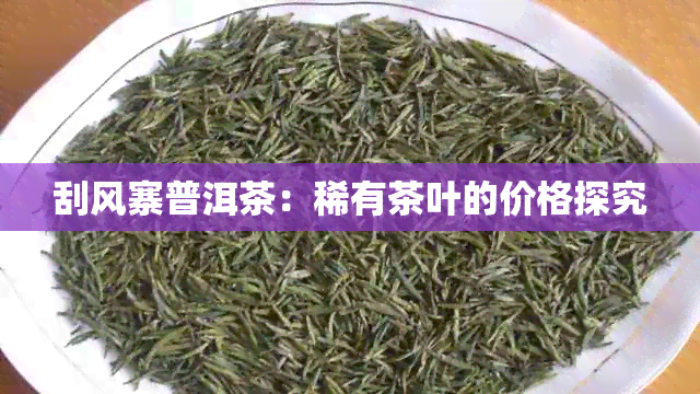 刮风寨普洱茶：稀有茶叶的价格探究