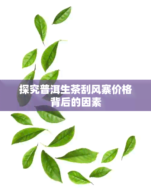 探究普洱生茶刮风寨价格背后的因素