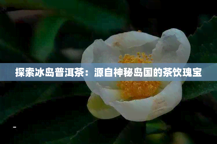 探索冰岛普洱茶：源自神秘岛国的茶饮瑰宝