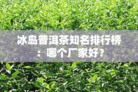 冰岛普洱茶知名排行榜：哪个厂家好？