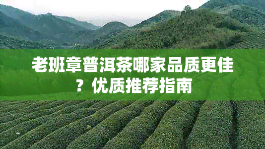 老班章普洱茶哪家品质更佳？优质推荐指南