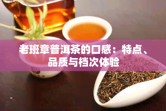 老班章普洱茶的口感：特点、品质与档次体验