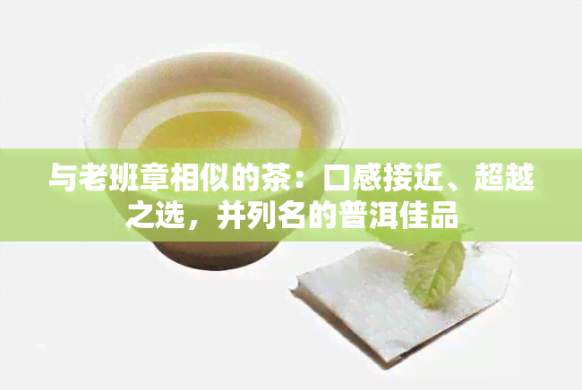 与老班章相似的茶：口感接近、超越之选，并列名的普洱佳品