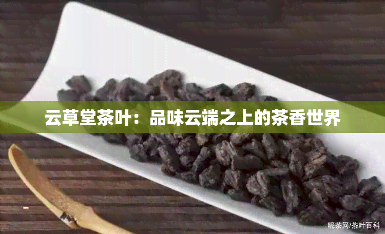 云草堂茶叶：品味云端之上的茶香世界