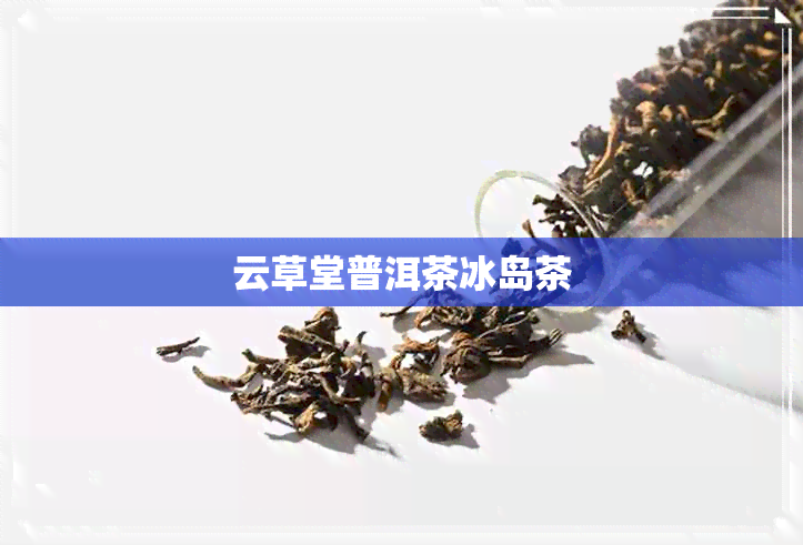 云草堂普洱茶冰岛茶