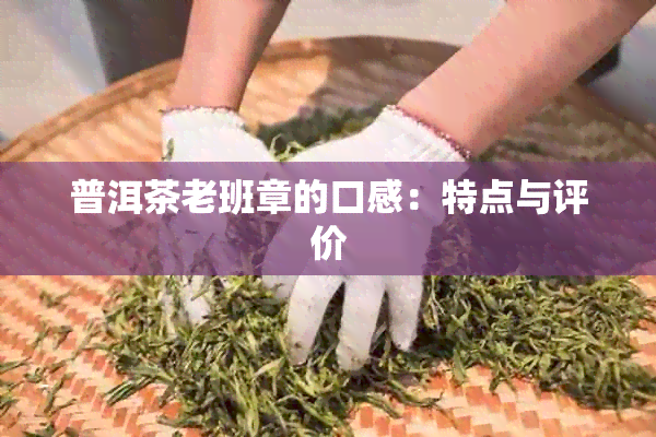 普洱茶老班章的口感：特点与评价