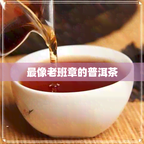 最像老班章的普洱茶