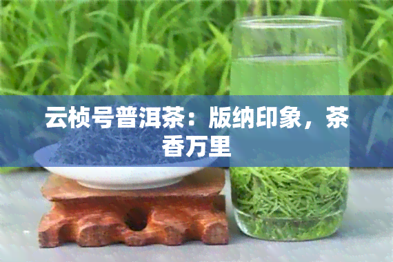 云桢号普洱茶：版纳印象，茶香万里