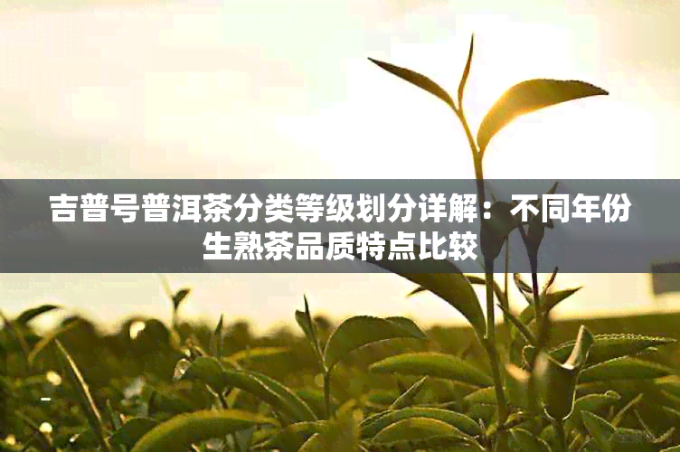 吉普号普洱茶分类等级划分详解：不同年份生熟茶品质特点比较