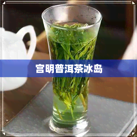 宫明普洱茶冰岛