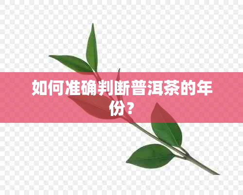 如何准确判断普洱茶的年份？