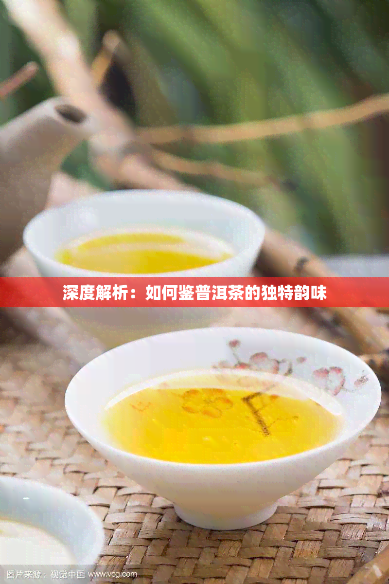 深度解析：如何鉴普洱茶的独特韵味