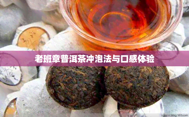 老班章普洱茶冲泡法与口感体验