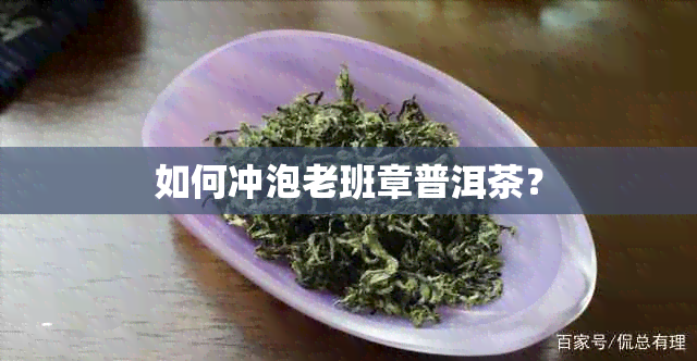 如何冲泡老班章普洱茶？