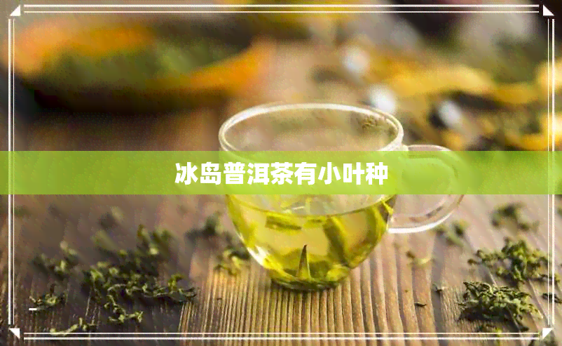 冰岛普洱茶有小叶种