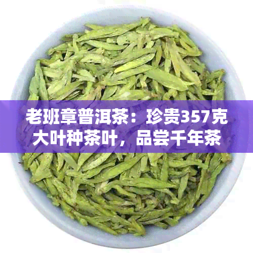 老班章普洱茶：珍贵357克大叶种茶叶，品尝千年茶文化的韵味