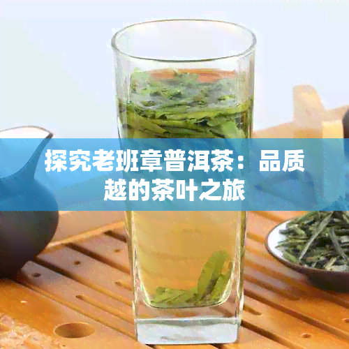 探究老班章普洱茶：品质越的茶叶之旅