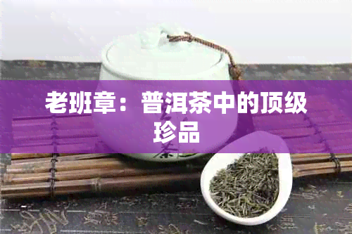 老班章：普洱茶中的顶级珍品