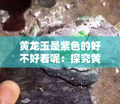 黄龙玉是紫色的好不好看呢：探究黄龙玉紫色之美