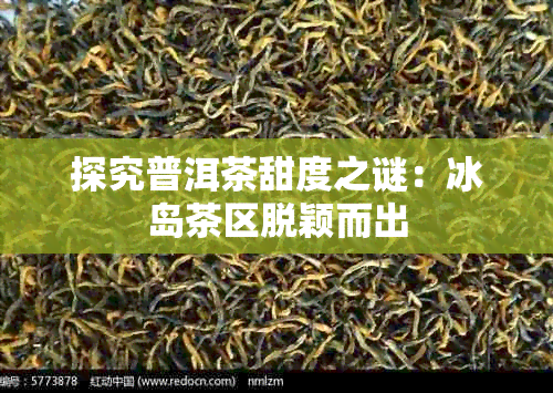 探究普洱茶甜度之谜：冰岛茶区脱颖而出