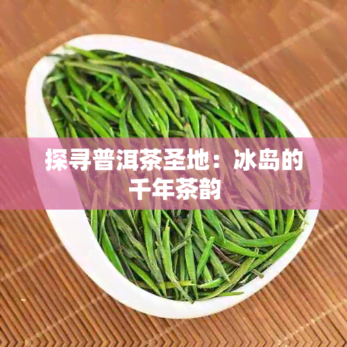 探寻普洱茶圣地：冰岛的千年茶韵