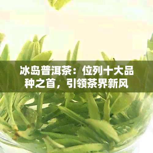 冰岛普洱茶：位列十大品种之首，引领茶界新风