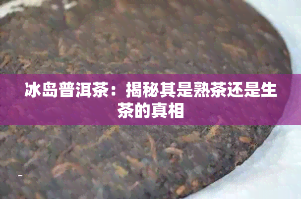 冰岛普洱茶：揭秘其是熟茶还是生茶的真相