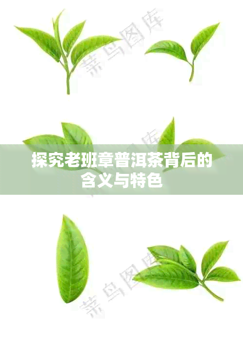 探究老班章普洱茶背后的含义与特色