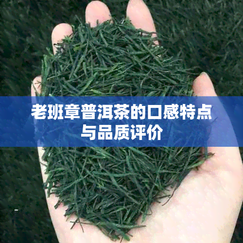 老班章普洱茶的口感特点与品质评价