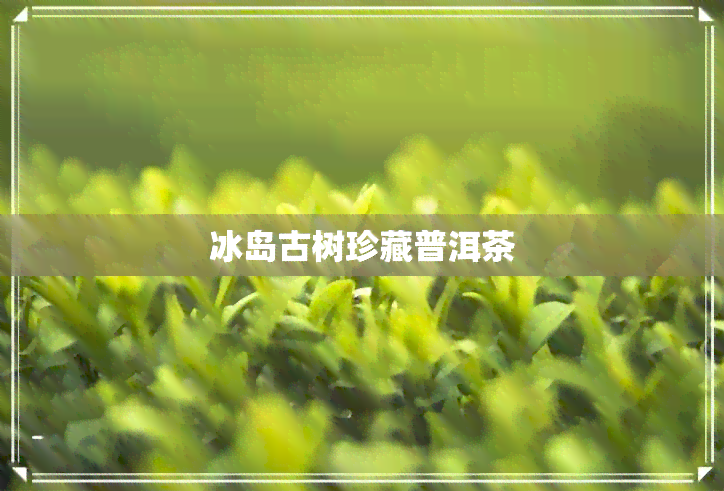 冰岛古树珍藏普洱茶