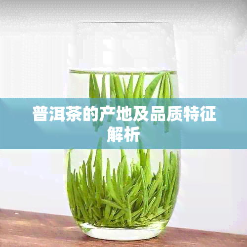 普洱茶的产地及品质特征解析