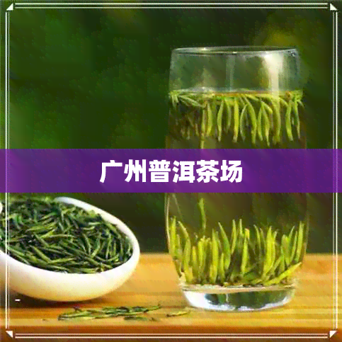 广州普洱茶场