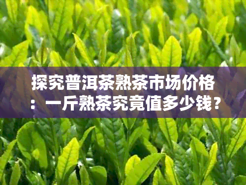 探究普洱茶熟茶市场价格：一斤熟茶究竟值多少钱？