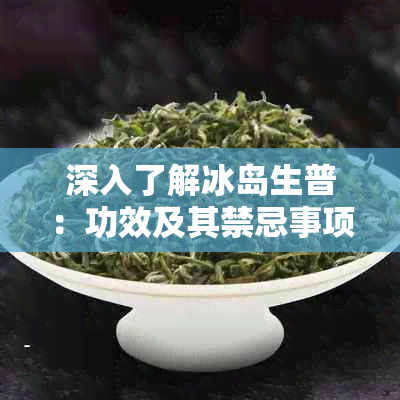 深入了解冰岛生普：功效及其禁忌事项