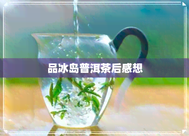 品冰岛普洱茶后感想