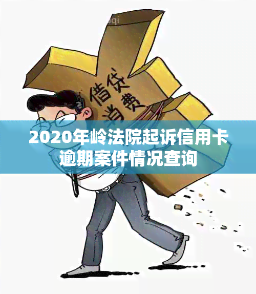 2020年岭法院起诉信用卡逾期案件情况查询