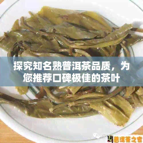 探究知名熟普洱茶品质，为您推荐口碑极佳的茶叶