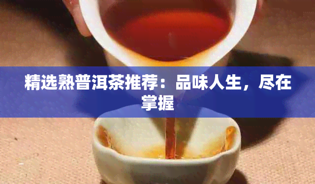 精选熟普洱茶推荐：品味人生，尽在掌握