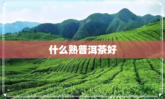 什么熟普洱茶好