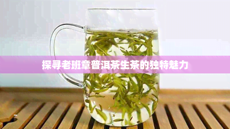 探寻老班章普洱茶生茶的独特魅力