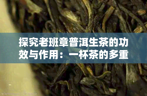 探究老班章普洱生茶的功效与作用：一杯茶的多重益处