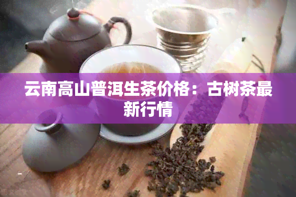 云南高山普洱生茶价格：古树茶最新行情