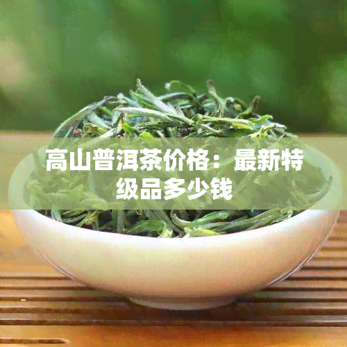 高山普洱茶价格：最新特级品多少钱