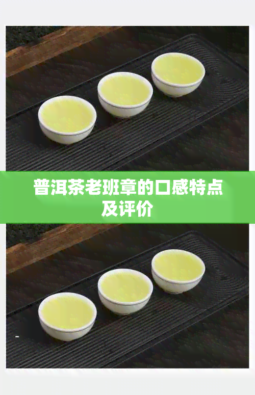 普洱茶老班章的口感特点及评价