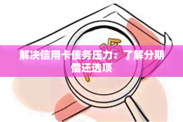 解决信用卡债务压力：了解分期偿还选项