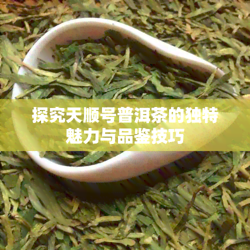 探究天顺号普洱茶的独特魅力与品鉴技巧