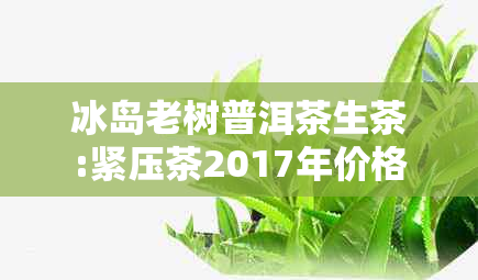 冰岛老树普洱茶生茶:紧压茶2017年价格