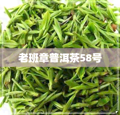 老班章普洱茶58号