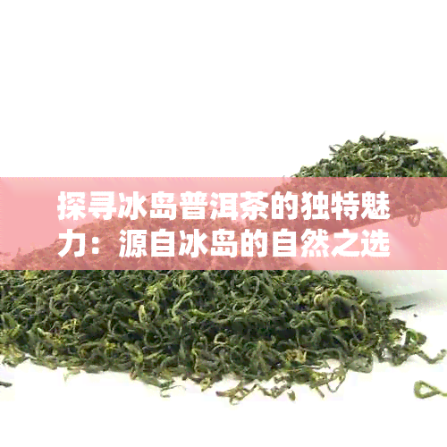 探寻冰岛普洱茶的独特魅力：源自冰岛的自然之选